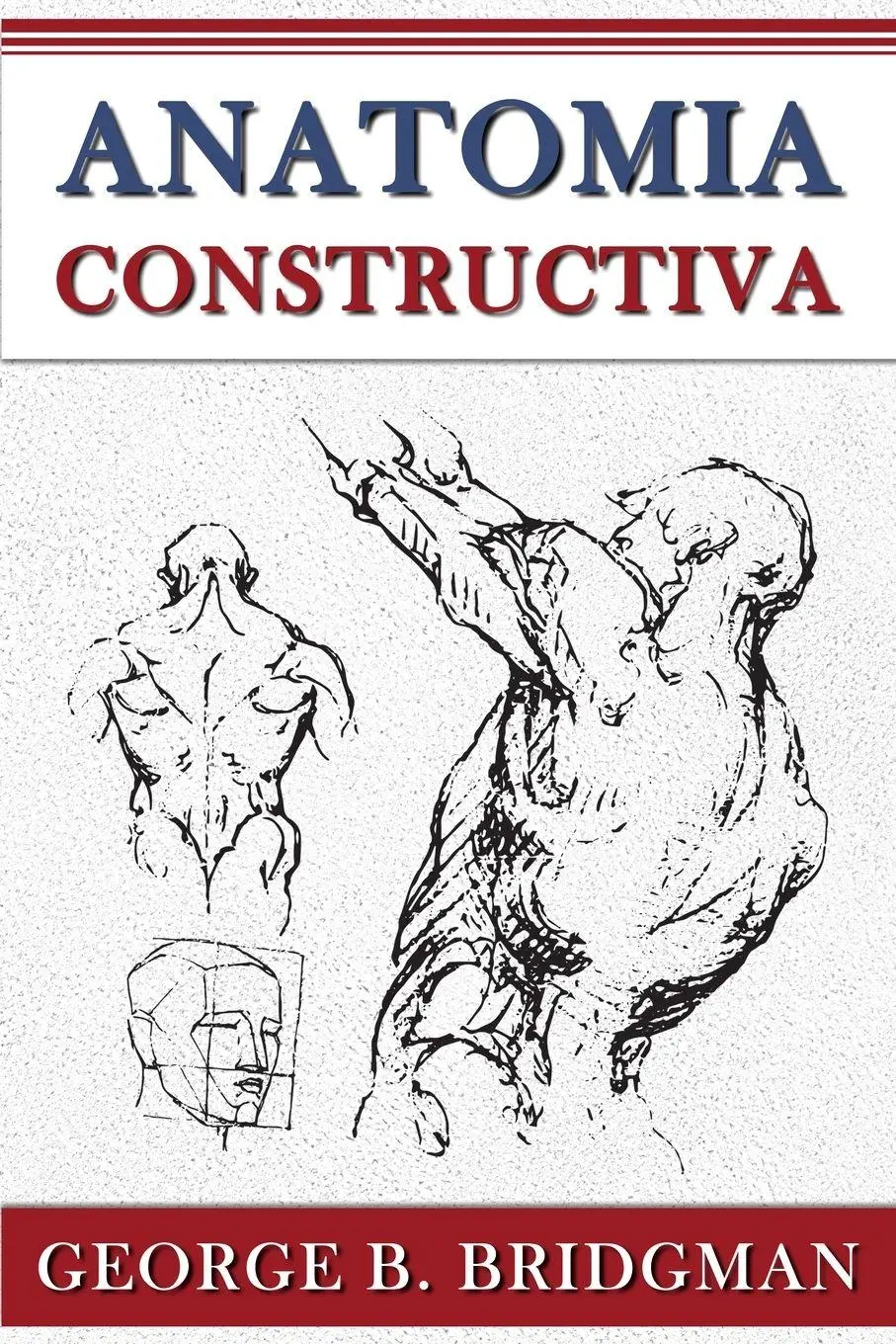 Cover: 9786023771585 | Anatomia Constructiva | George B. Bridgman | Taschenbuch | Englisch