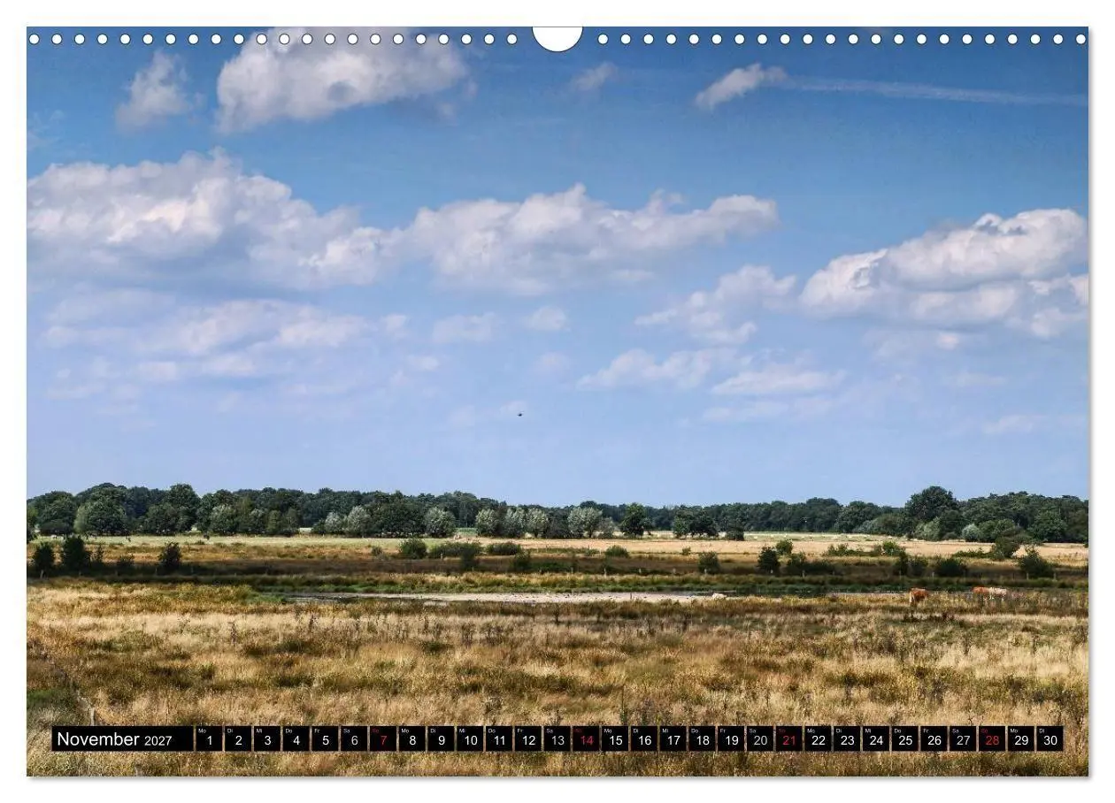 Bild: 9783569881785 | Malerischer Niederrhein (Wandkalender 2027 DIN A3 quer), CALVENDO...