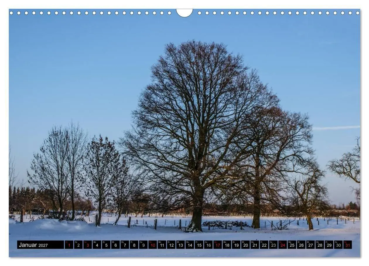 Bild: 9783569881785 | Malerischer Niederrhein (Wandkalender 2027 DIN A3 quer), CALVENDO...