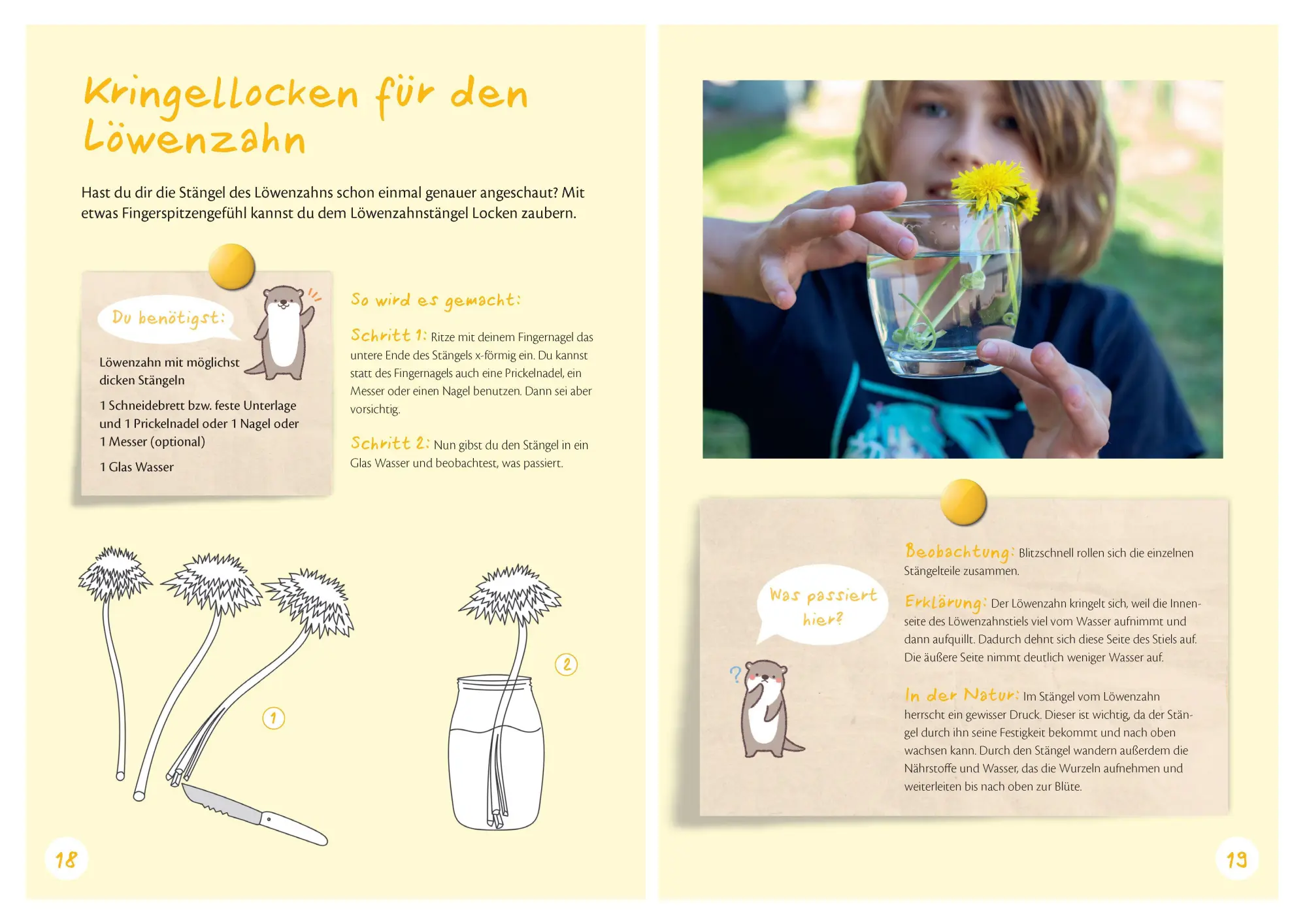 Bild: 9783809451785 | Kinderleichte Experimente für draußen. Ab 3 Jahren | Buch | 64 S.