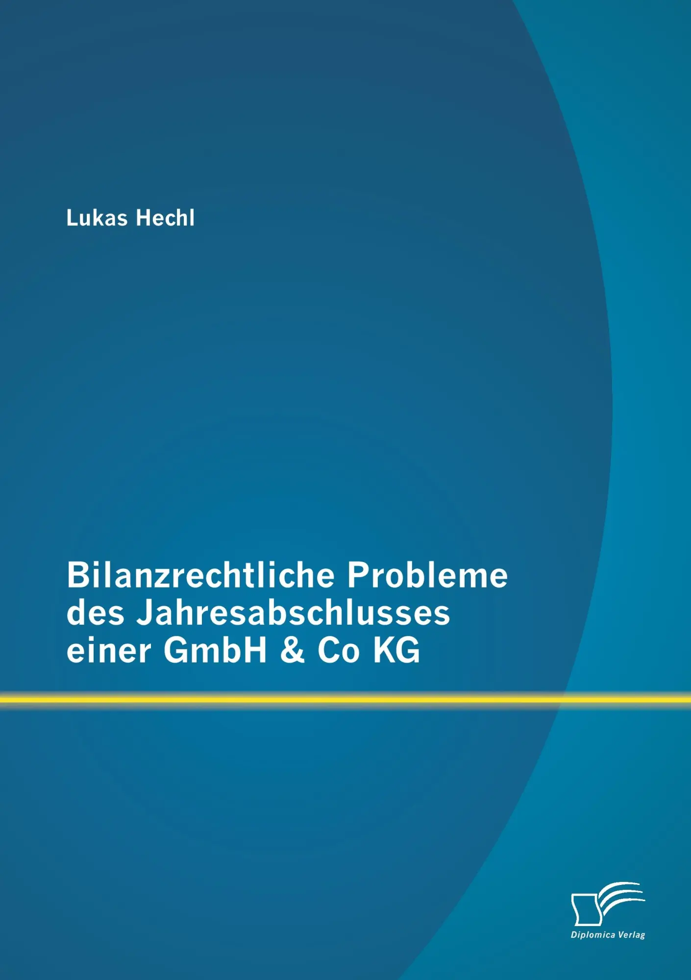 Cover: 9783842881785 | Bilanzrechtliche Probleme des Jahresabschlusses einer GmbH &amp; Co KG