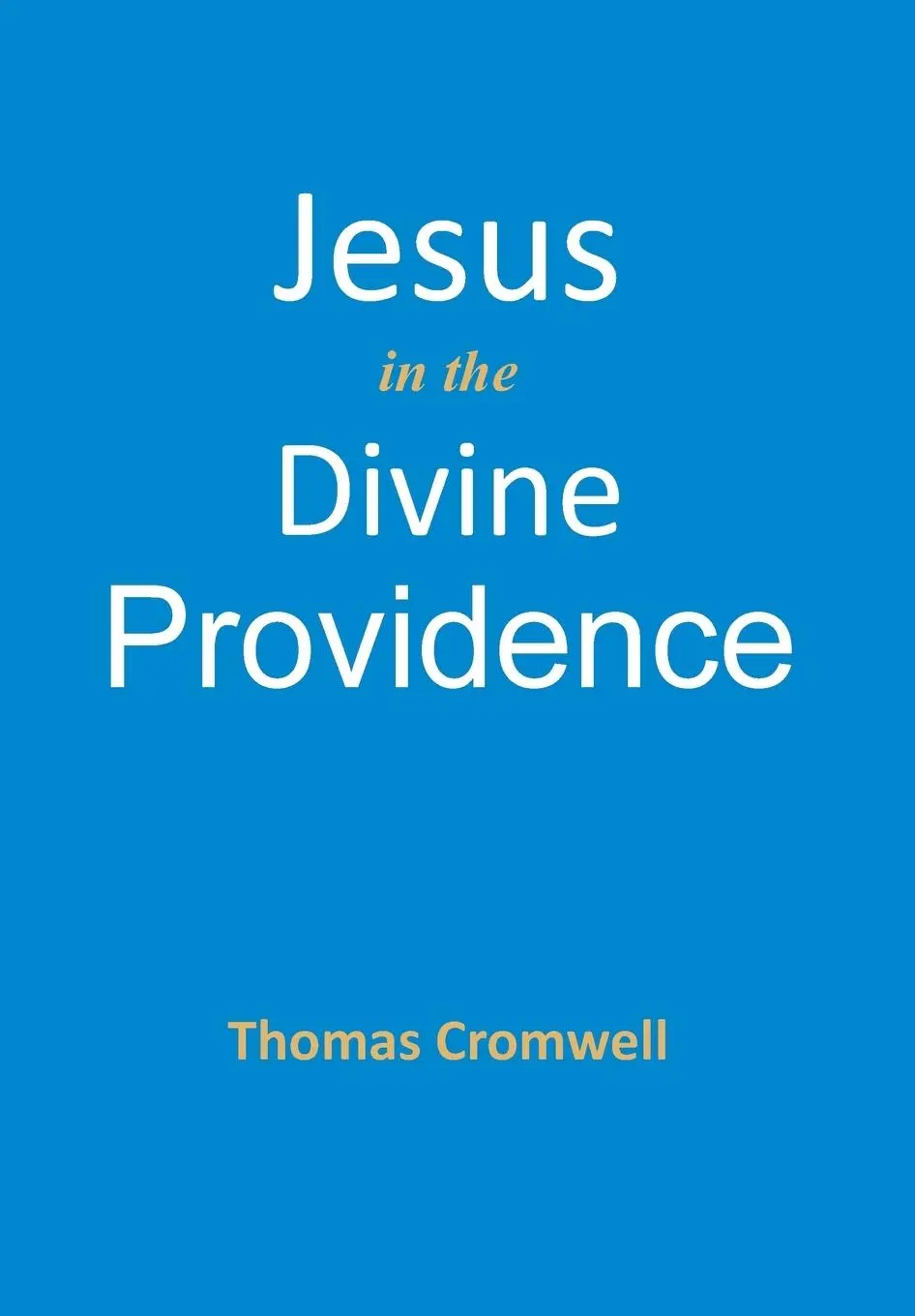 Cover: 9781737441885 | Jesus in the Divine Providence | Thomas Cromwell | Buch | Englisch