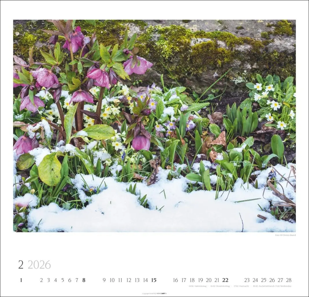 Bild: 9783839901885 | Bauerngärten Kalender 2026 | Christa Brand | Kalender | Spiralbindung