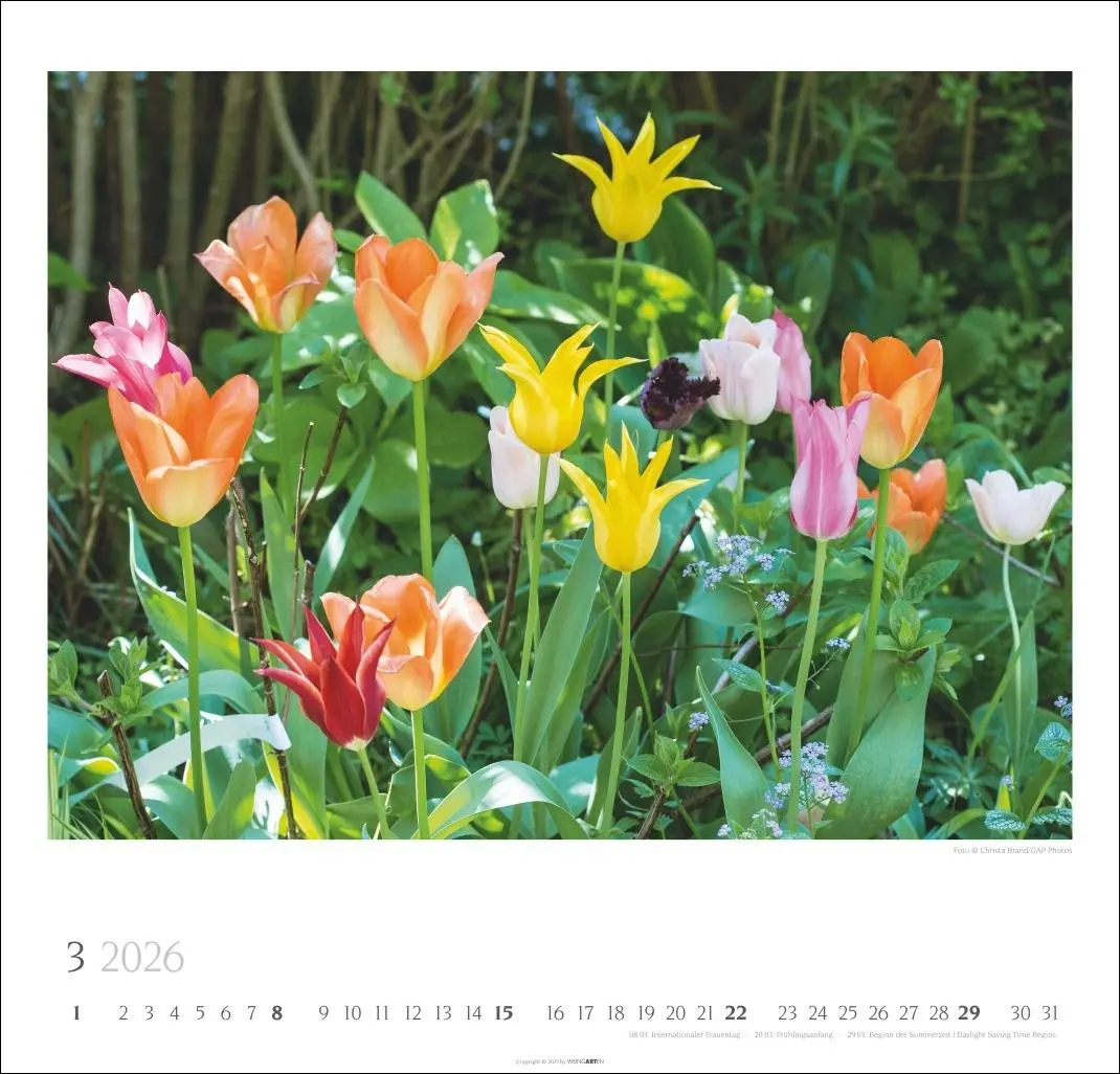 Bild: 9783839901885 | Bauerngärten Kalender 2026 | Christa Brand | Kalender | Spiralbindung