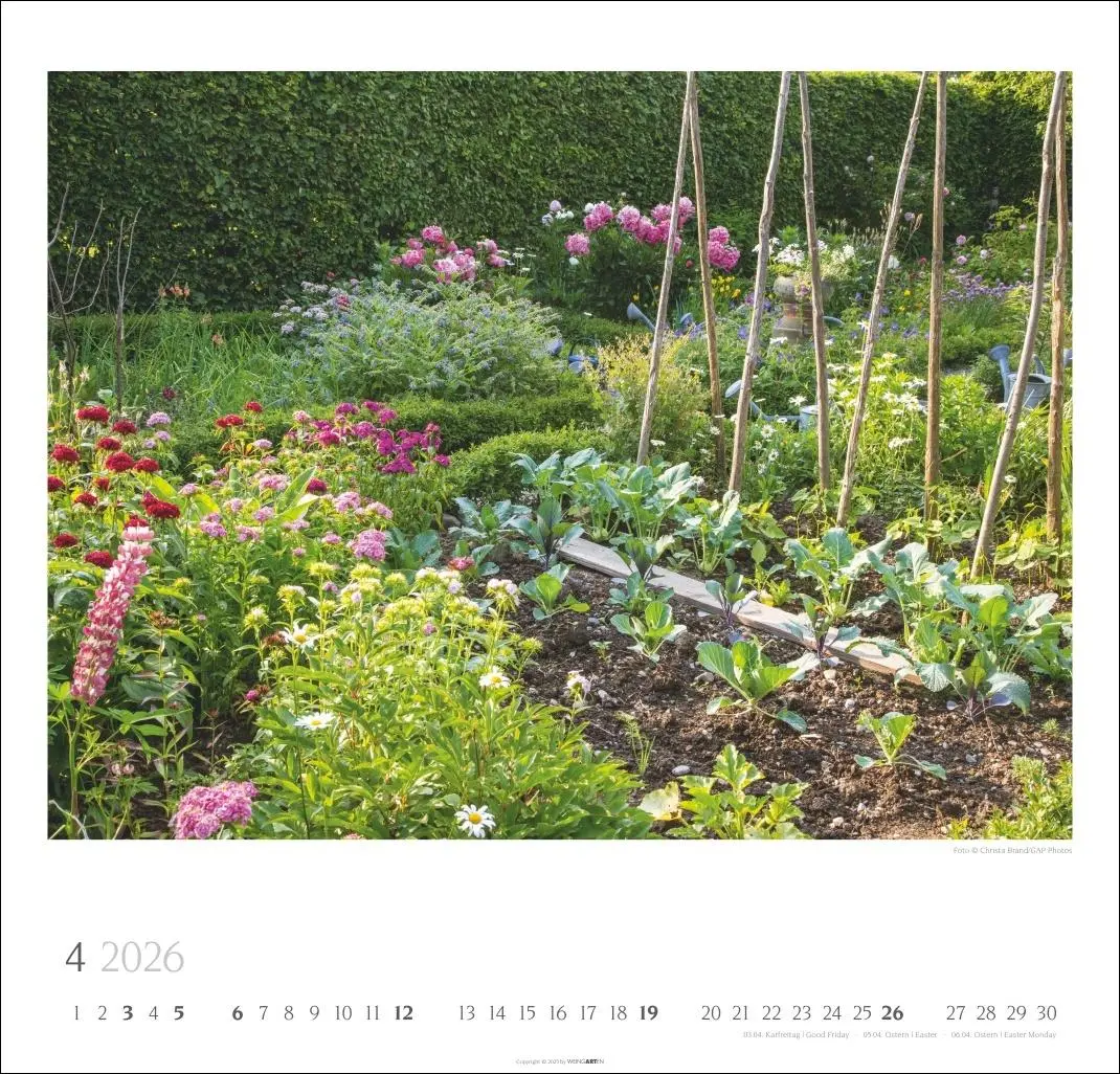 Bild: 9783839901885 | Bauerngärten Kalender 2026 | Christa Brand | Kalender | Spiralbindung