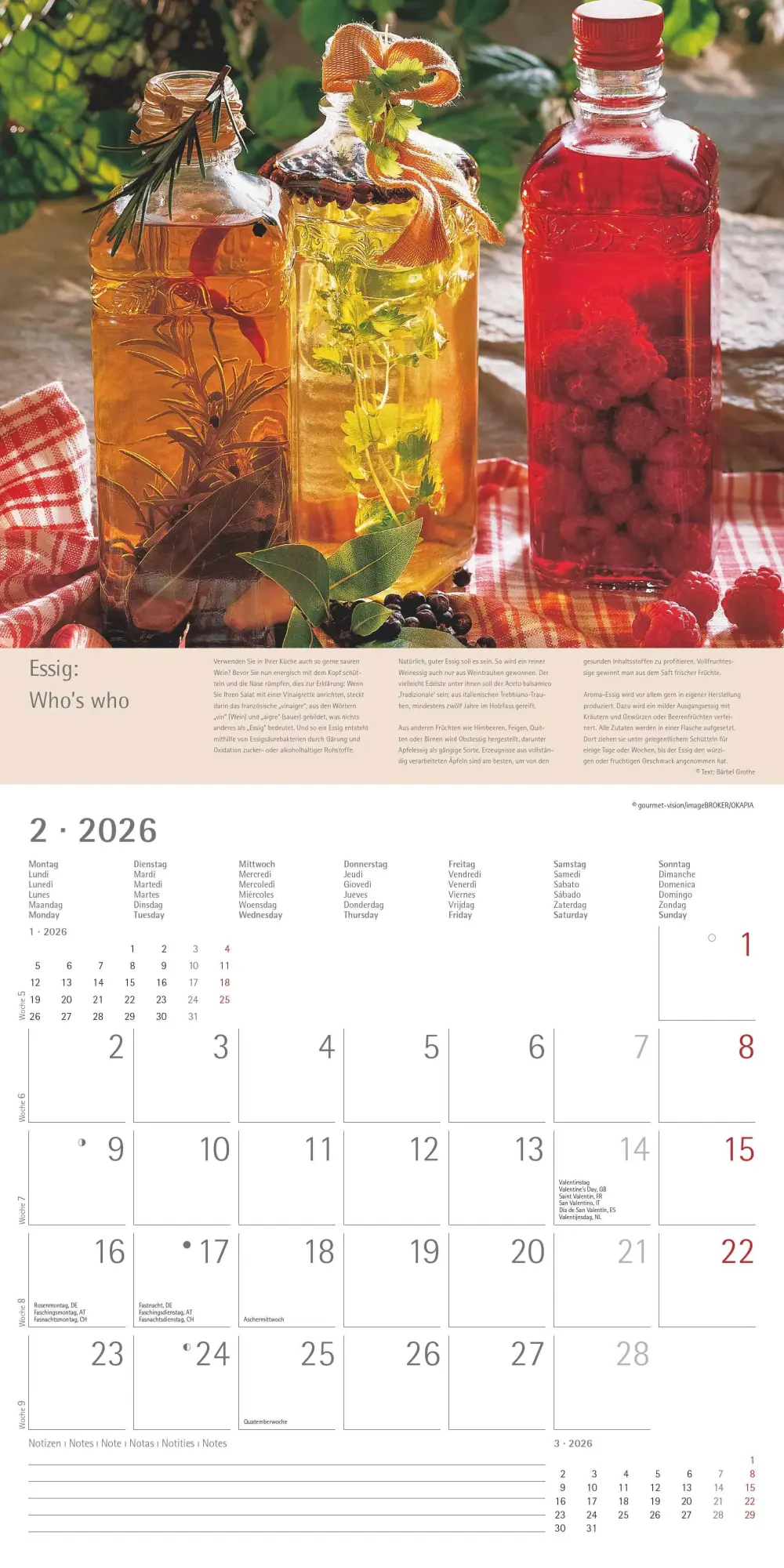Bild: 4069095001985 | Kräuter und Gewürze - Broschürenkalender im Format 30 x 30 | Edition