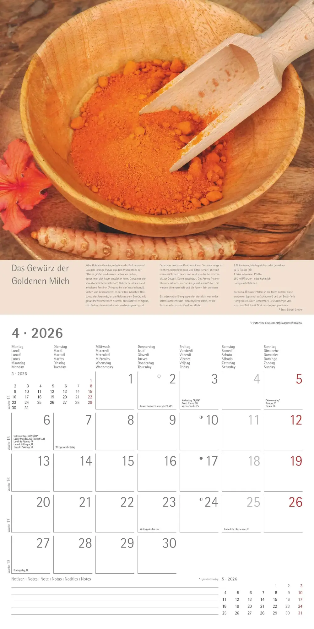 Bild: 4069095001985 | Kräuter und Gewürze - Broschürenkalender im Format 30 x 30 | Edition