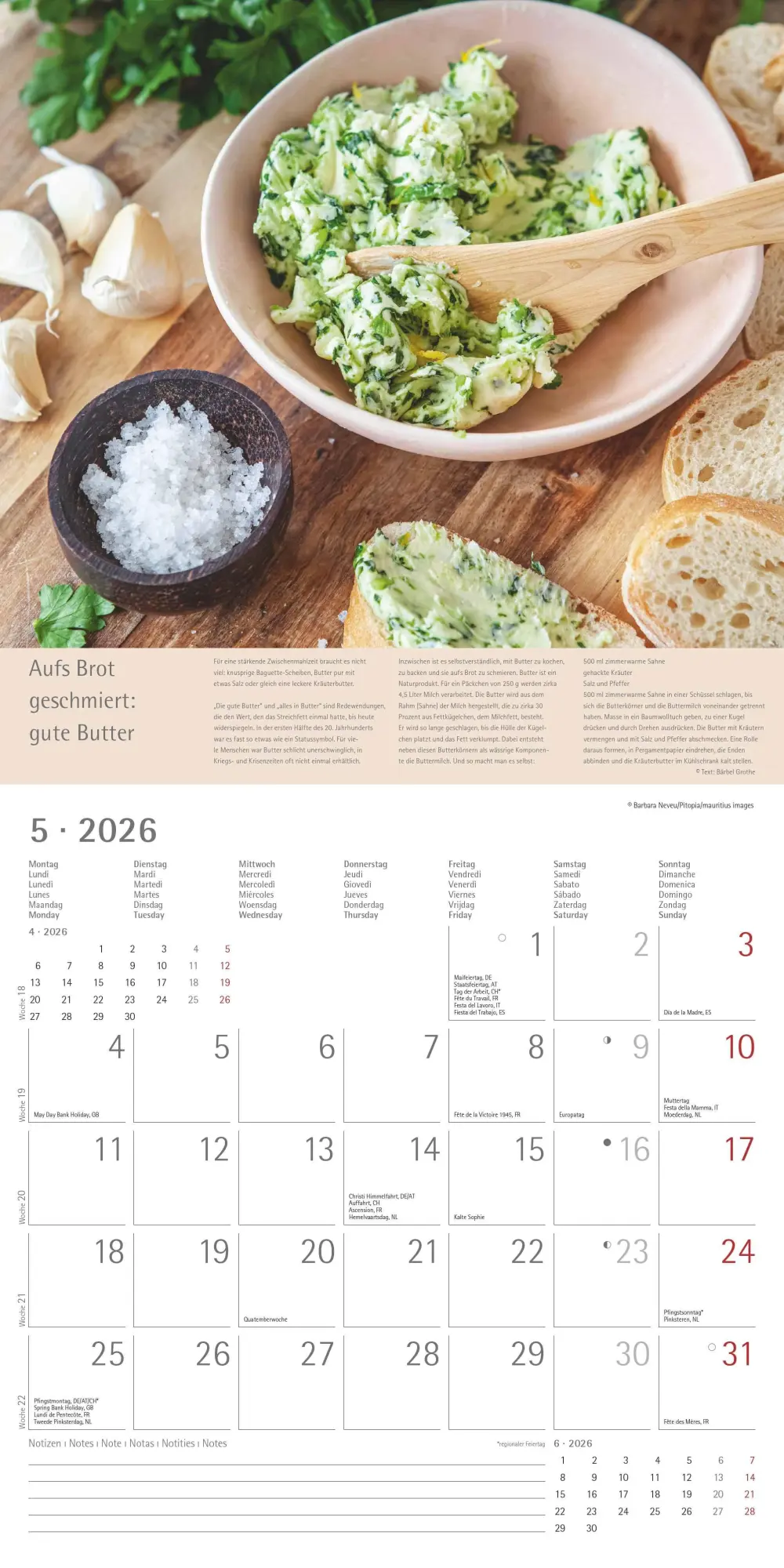 Bild: 4069095001985 | Kräuter und Gewürze - Broschürenkalender im Format 30 x 30 | Edition