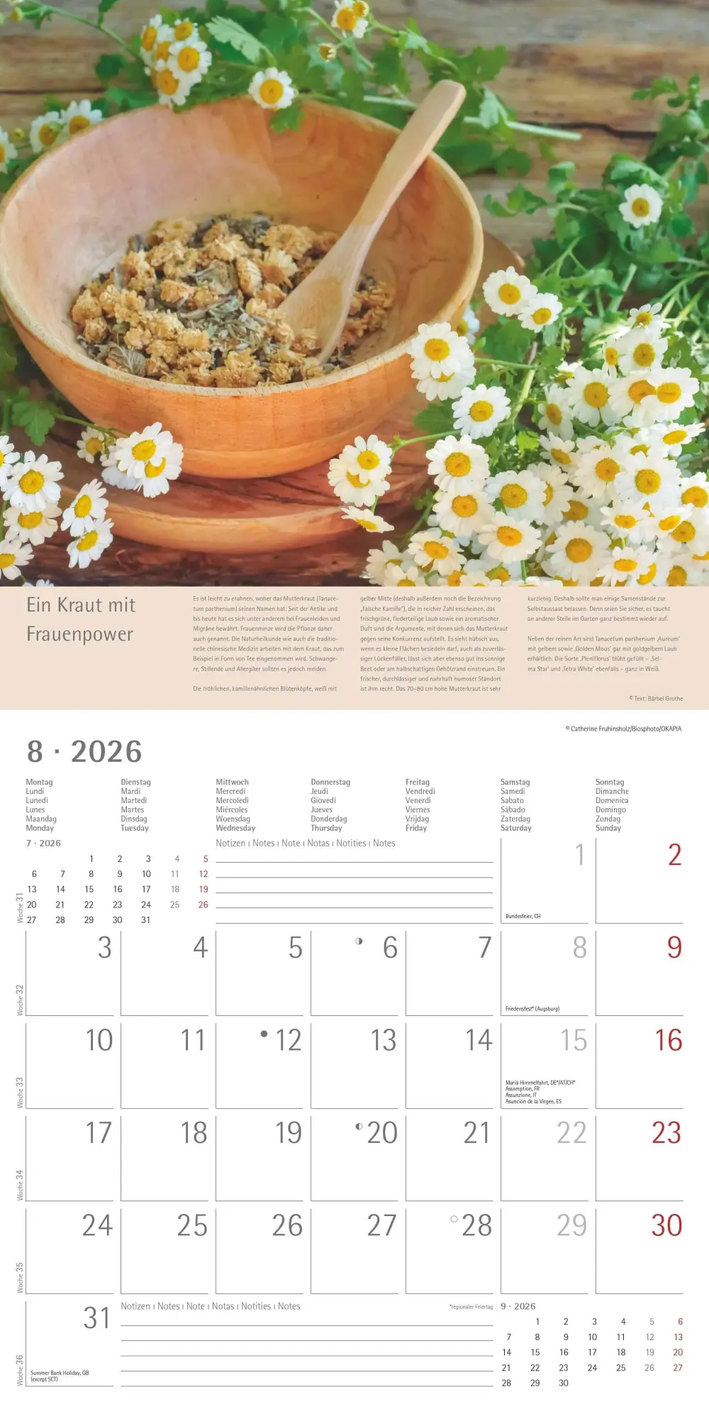 Bild: 4069095001985 | Kräuter und Gewürze - Broschürenkalender im Format 30 x 30 | Edition