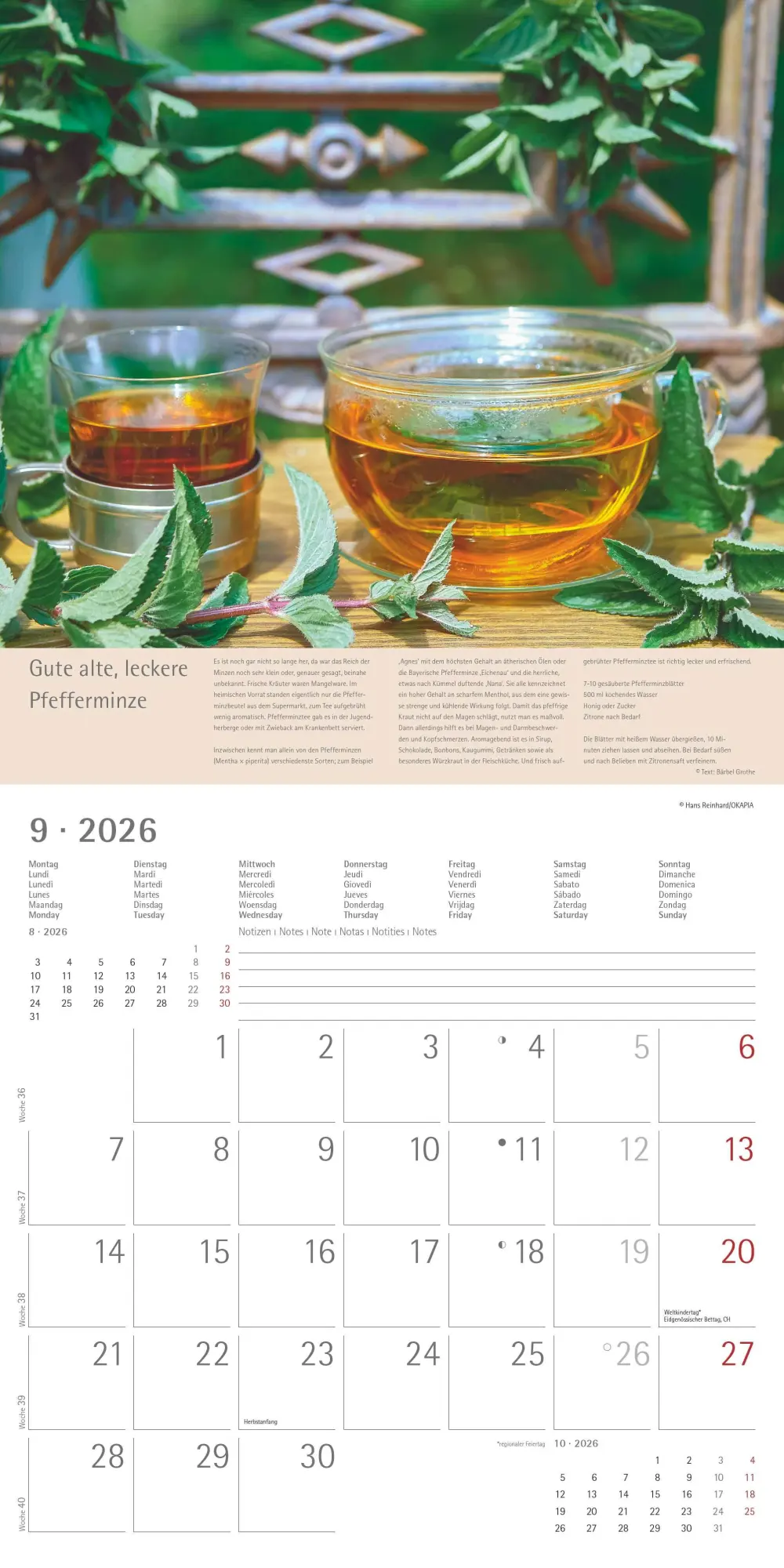 Bild: 4069095001985 | Kräuter und Gewürze - Broschürenkalender im Format 30 x 30 | Edition