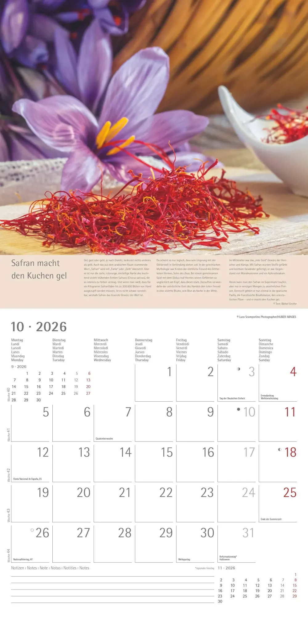 Bild: 4069095001985 | Kräuter und Gewürze - Broschürenkalender im Format 30 x 30 | Edition