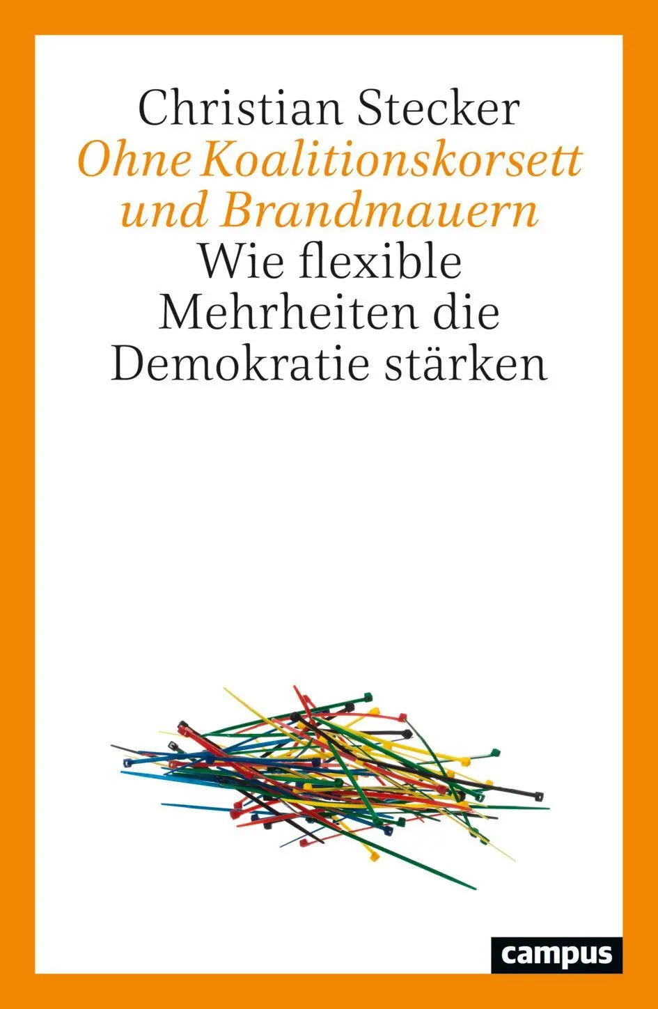 Cover: 9783593521985 | Ohne Koalitionskorsett und Brandmauern | Christian Stecker | Buch
