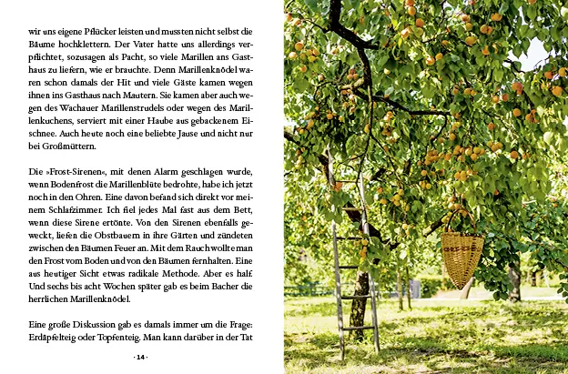 Bild: 9783710401985 | Das kleine Buch: Die besten Marillenrezepte | Von Lisl Wagner-Bacher