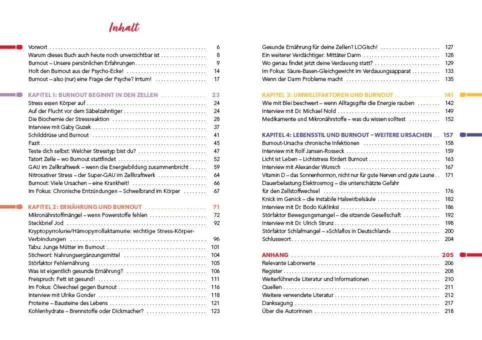 Bild: 9783742321985 | Der Burnout-Irrtum | Kyra Kauffmann (u. a.) | Taschenbuch | 224 S.