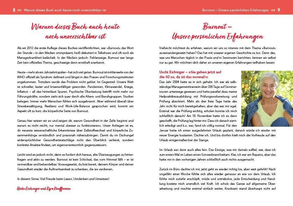Bild: 9783742321985 | Der Burnout-Irrtum | Kyra Kauffmann (u. a.) | Taschenbuch | 224 S.