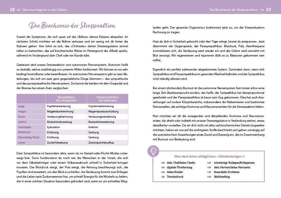 Bild: 9783742321985 | Der Burnout-Irrtum | Kyra Kauffmann (u. a.) | Taschenbuch | 224 S.