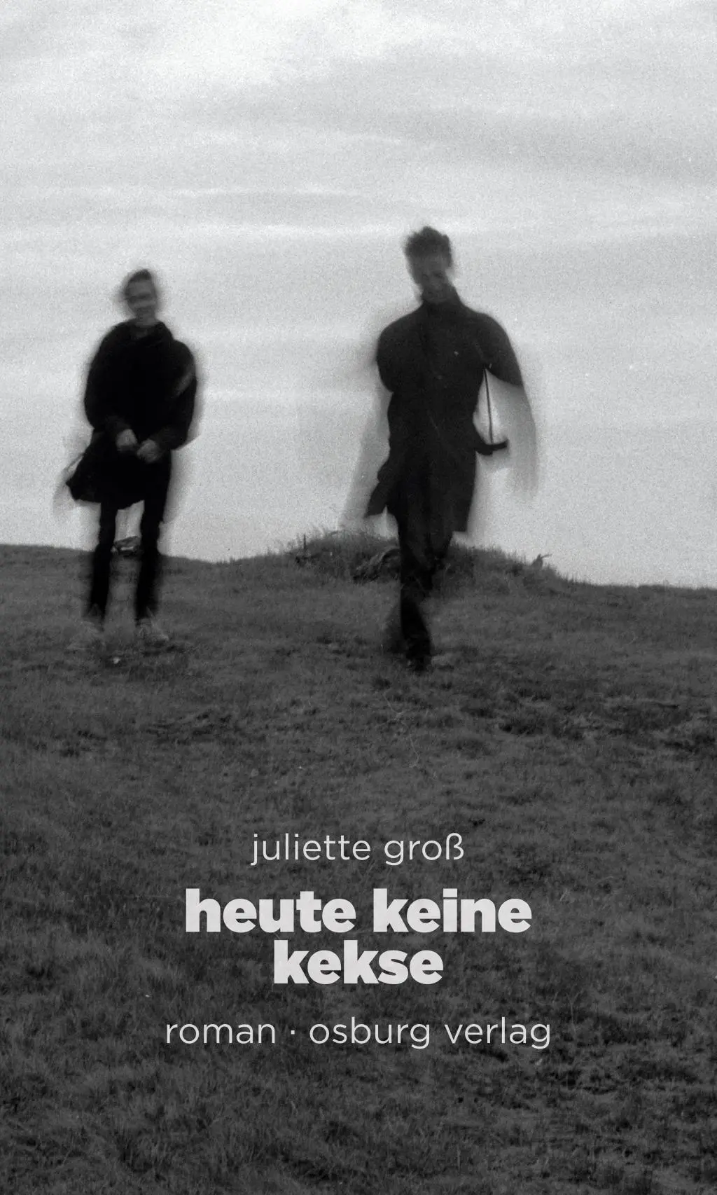 Cover: 9783955101985 | Heute keine Kekse | Roman | Juliette Groß | Taschenbuch | 200 S.