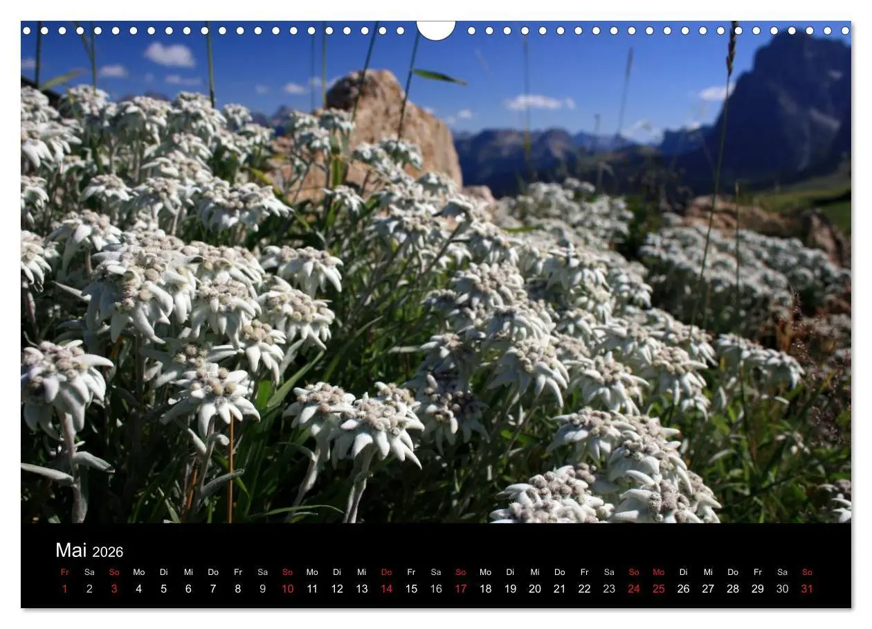 Bild: 9783457952085 | Alpe di Siusi - Seiser Alm (Wandkalender 2026 DIN A3 quer),...