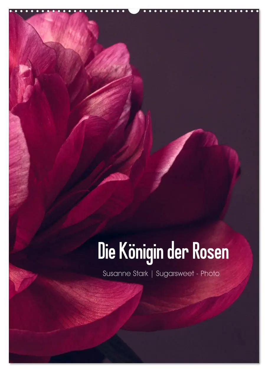Cover: 9783516422085 | Die Königin der Rosen (Wandkalender 2026 DIN A2 hoch), CALVENDO...