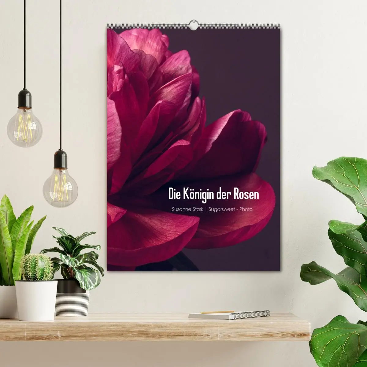 Bild: 9783516422085 | Die Königin der Rosen (Wandkalender 2026 DIN A2 hoch), CALVENDO...