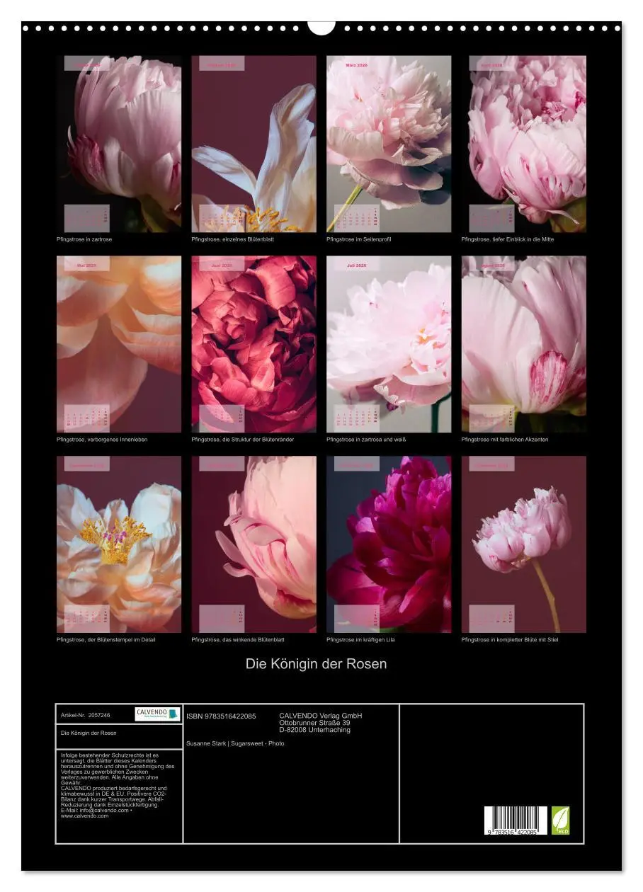 Bild: 9783516422085 | Die Königin der Rosen (Wandkalender 2026 DIN A2 hoch), CALVENDO...