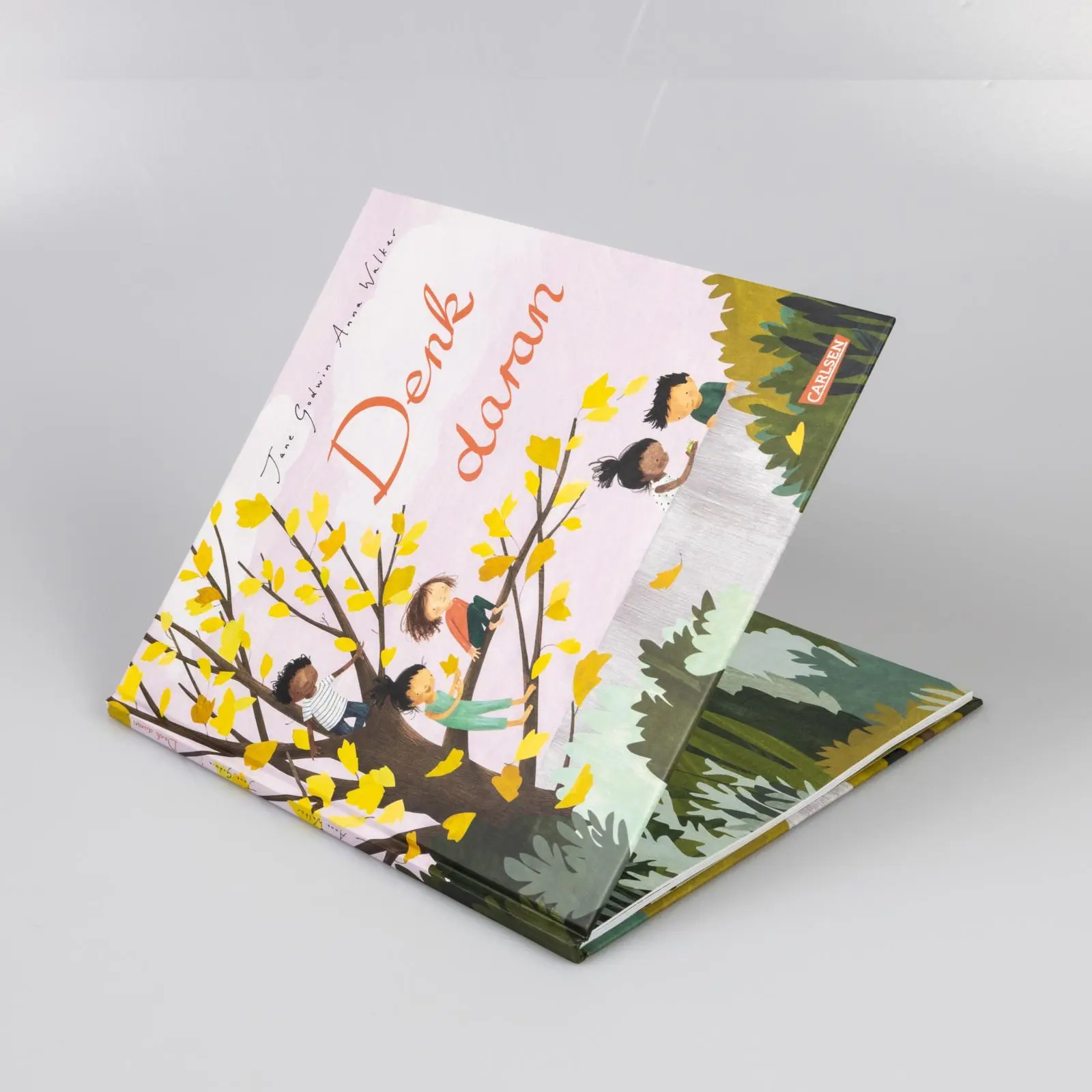 Bild: 9783551522085 | Denk daran | Jane Godwin | Buch | 40 S. | Deutsch | 2024