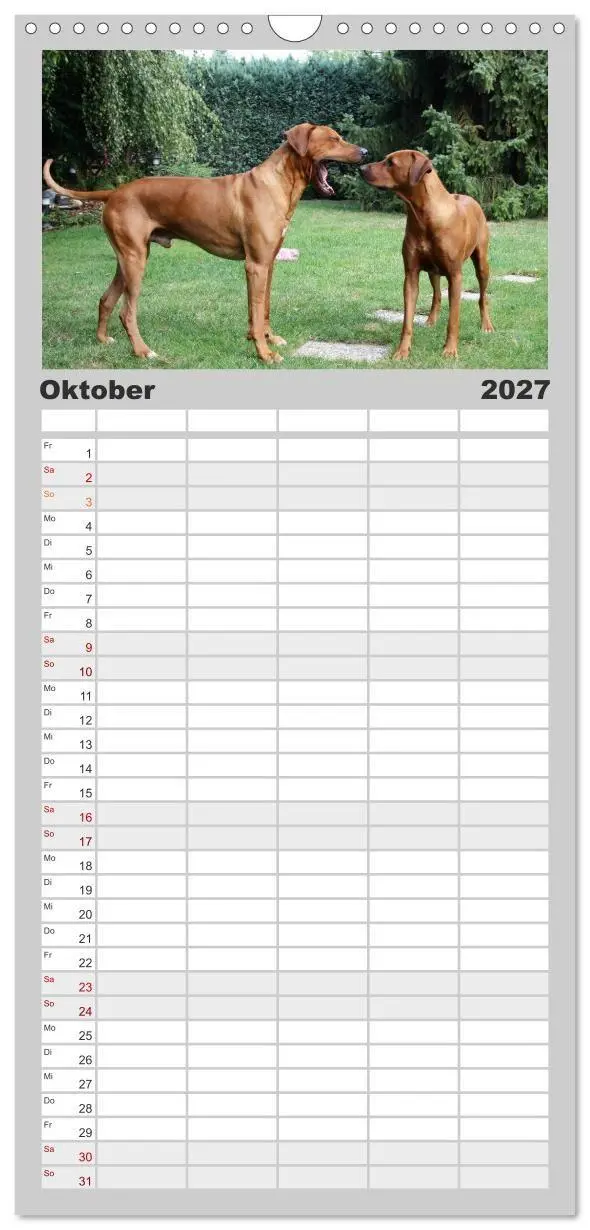 Bild: 9783594332085 | Familienplaner 2027 - Rhodesian Ridgeback - Moments mit 5 Spalten...