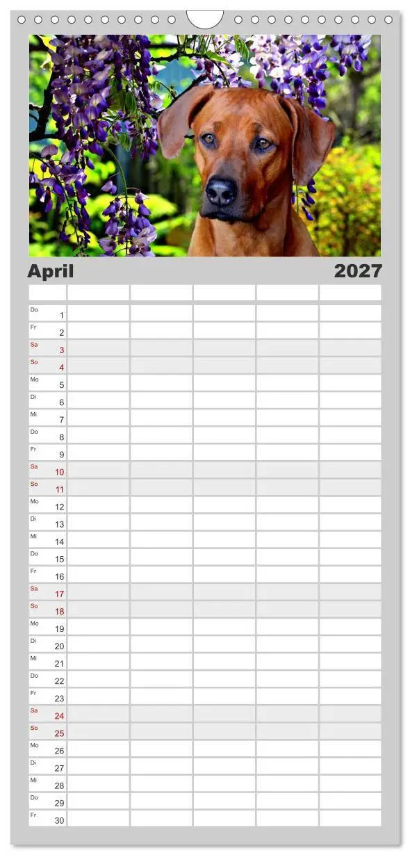 Bild: 9783594332085 | Familienplaner 2027 - Rhodesian Ridgeback - Moments mit 5 Spalten...