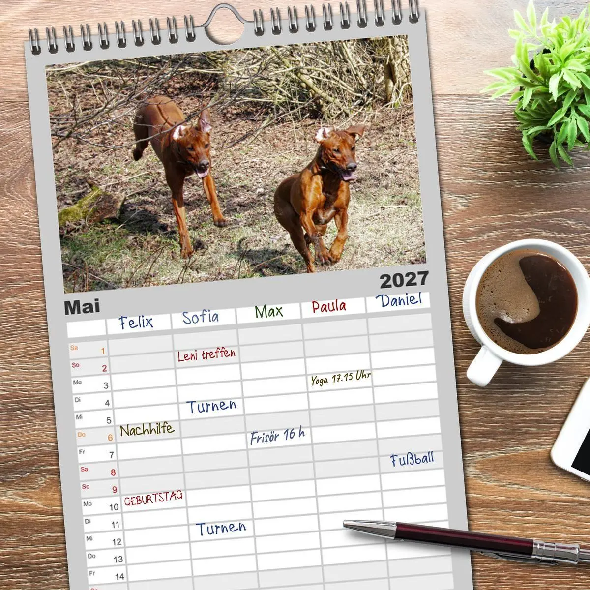 Bild: 9783594332085 | Familienplaner 2027 - Rhodesian Ridgeback - Moments mit 5 Spalten...
