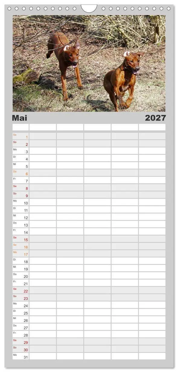 Bild: 9783594332085 | Familienplaner 2027 - Rhodesian Ridgeback - Moments mit 5 Spalten...