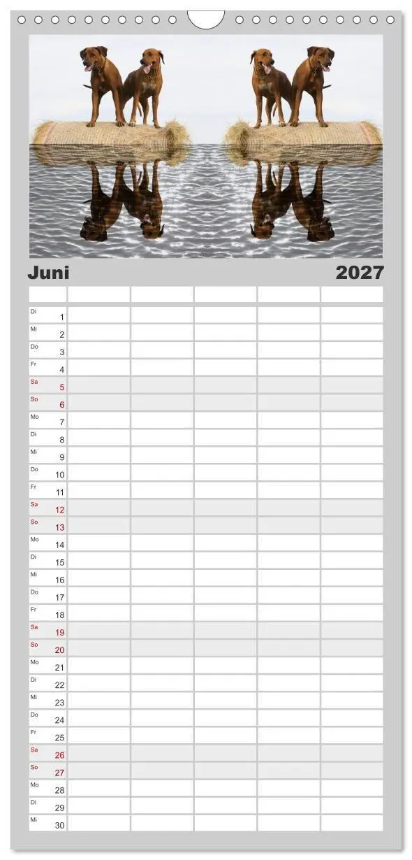 Bild: 9783594332085 | Familienplaner 2027 - Rhodesian Ridgeback - Moments mit 5 Spalten...
