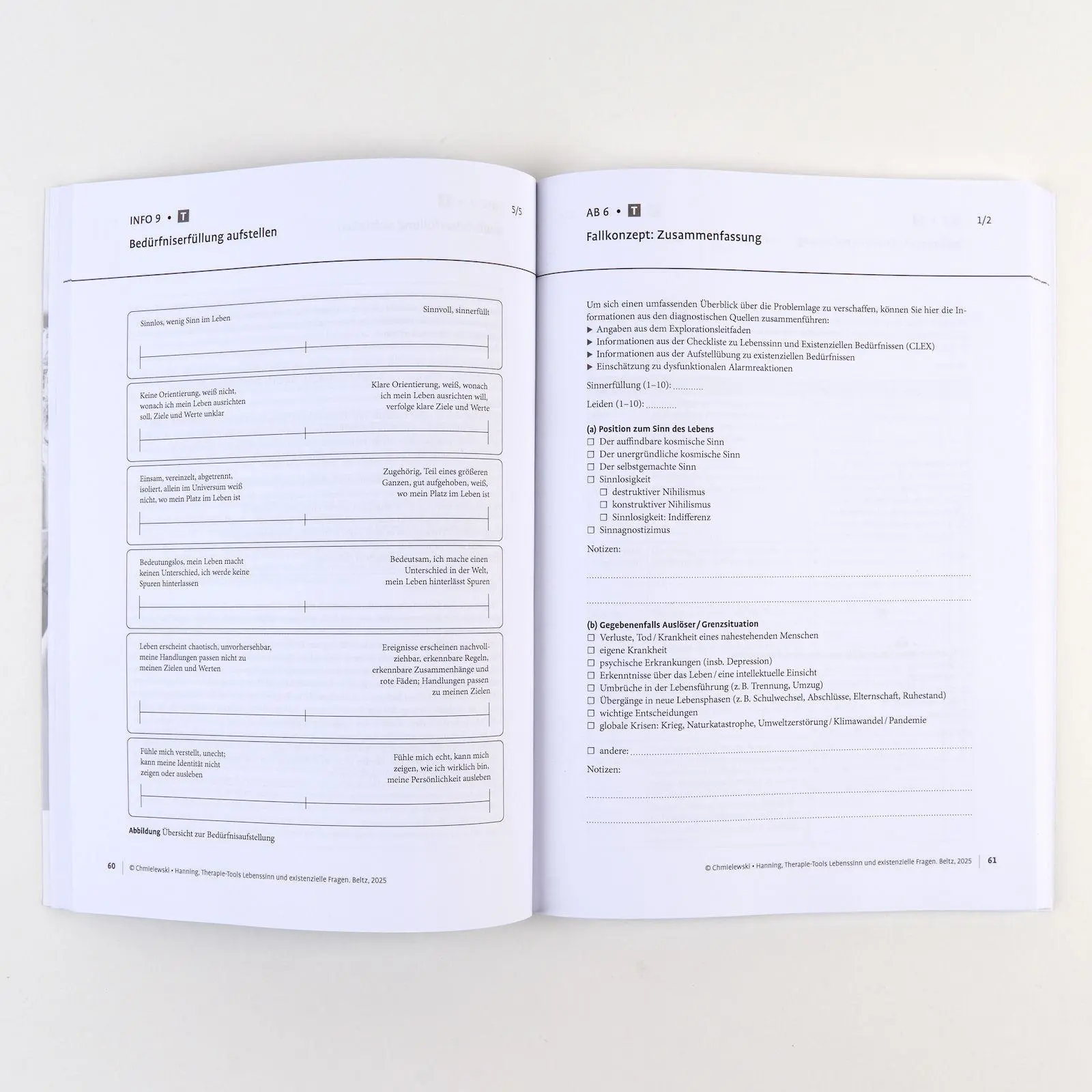 Bild: 9783621292085 | Therapie-Tools Lebenssinn und existenzielle Fragen | Bundle | Deutsch
