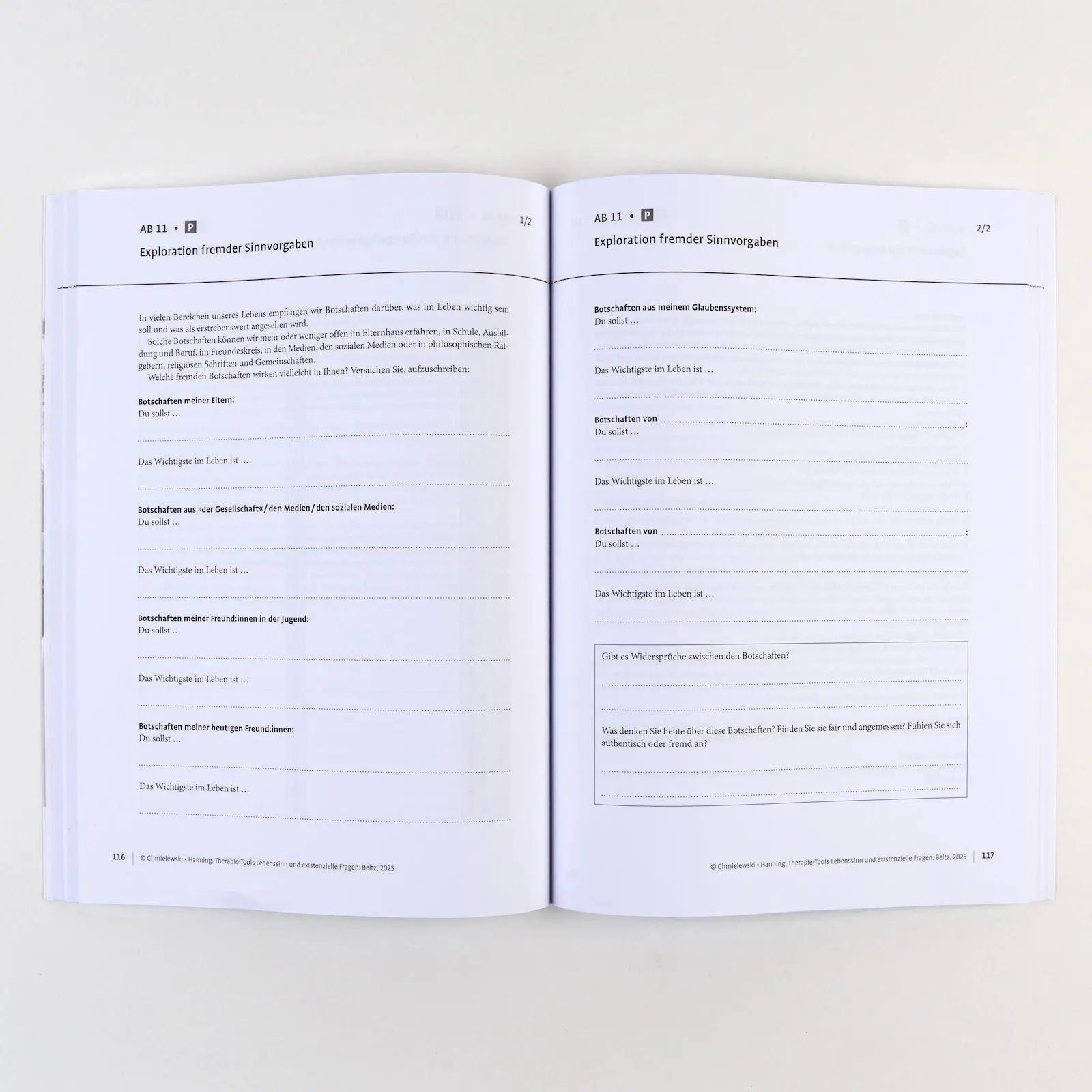 Bild: 9783621292085 | Therapie-Tools Lebenssinn und existenzielle Fragen | Bundle | Deutsch