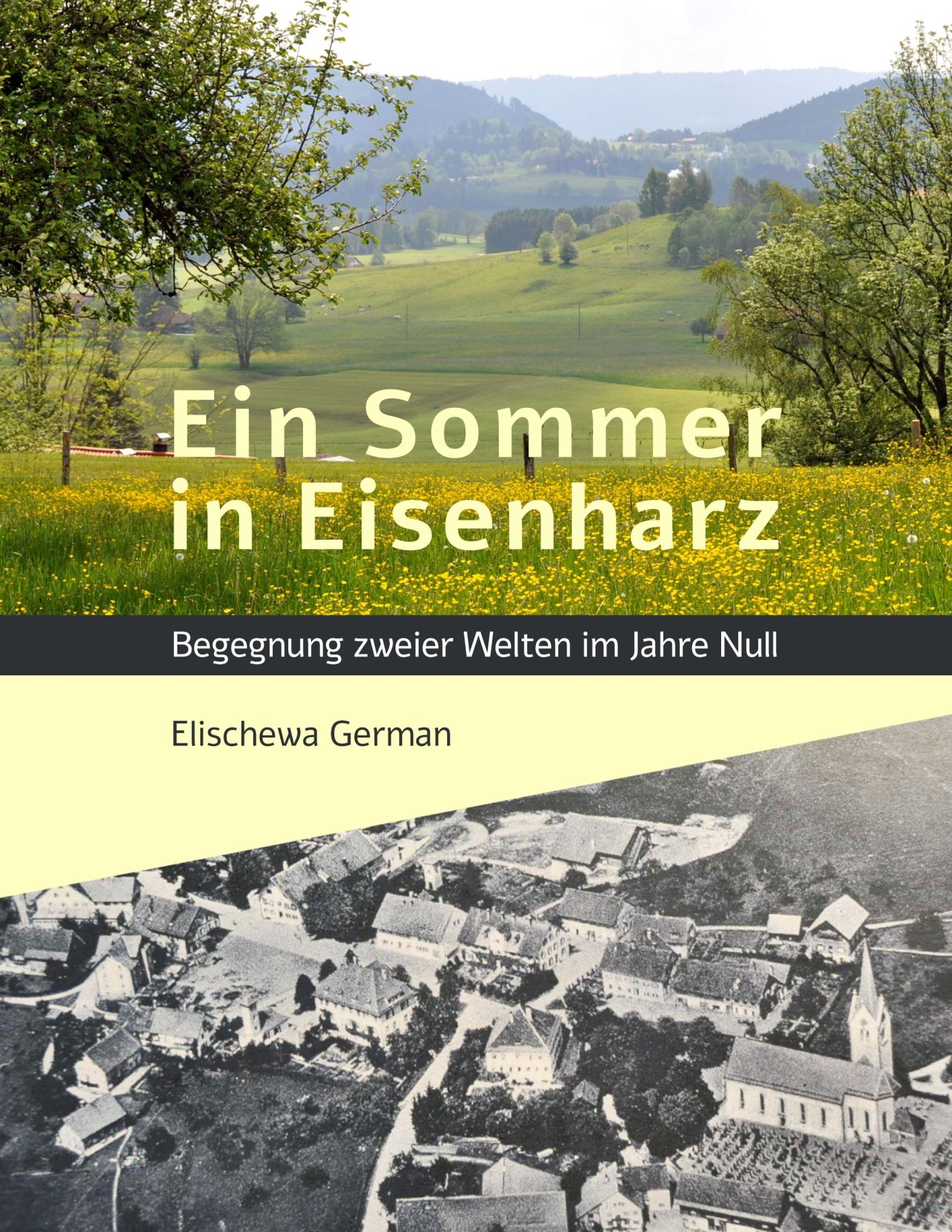 Cover: 9783732242085 | Ein Sommer in Eisenharz | Begegnung zweier Welten im Jahre Null | Buch
