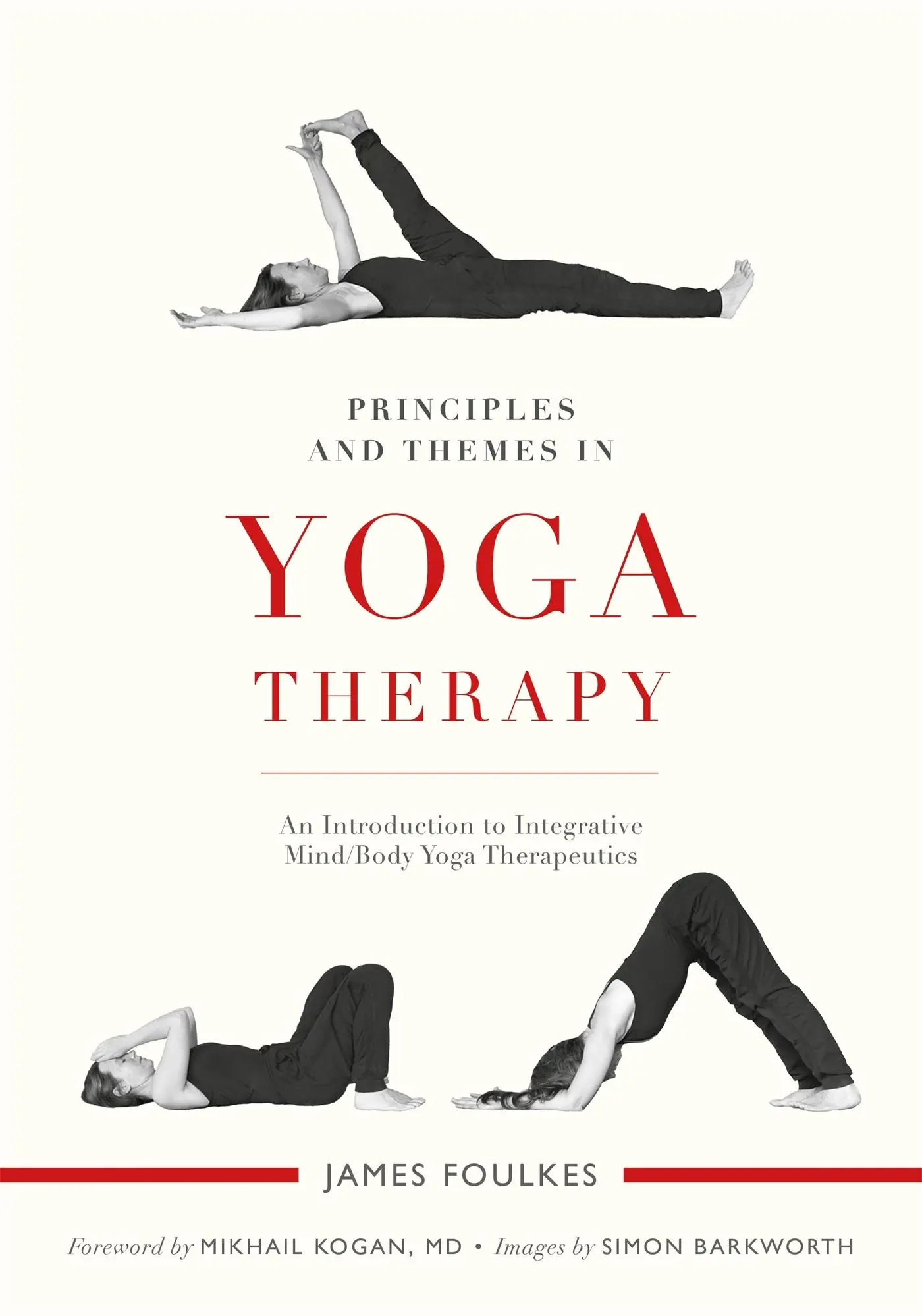 Cover: 9781848192485 | Principles and Themes in Yoga Therapy | James Foulkes | Taschenbuch