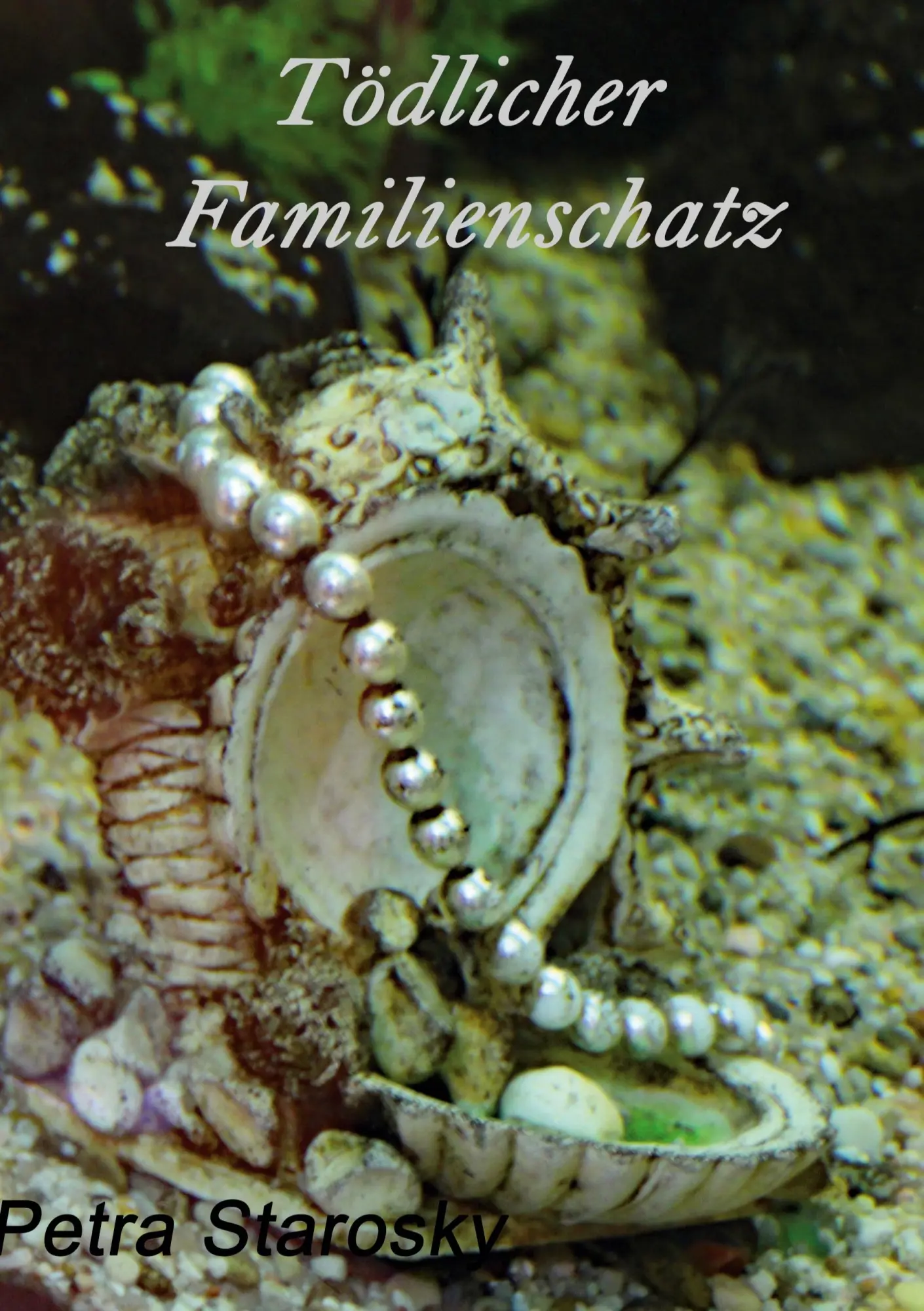 Cover: 9783756812585 | Tödlicher Familienschatz | Petra Starosky | Taschenbuch | 276 S.