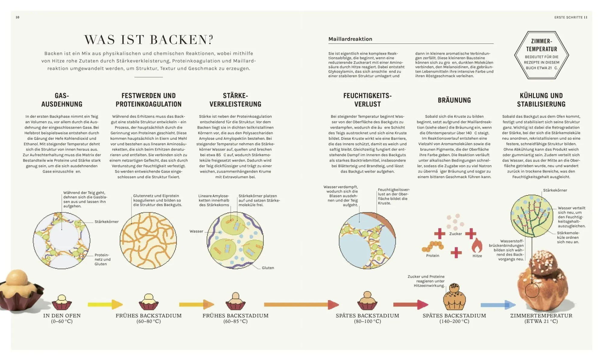 Bild: 9783831052585 | Backen - (k)eine Wissenschaft | Matt Adlard | Taschenbuch | 224 S.
