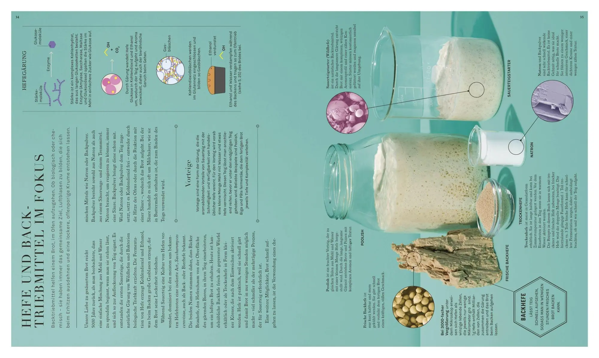 Bild: 9783831052585 | Backen - (k)eine Wissenschaft | Matt Adlard | Taschenbuch | 224 S.
