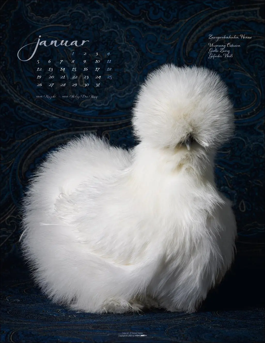 Bild: 9783839902585 | Pretty Chicks Kalender 2026 | Tamara Staples | Kalender | 14 S. | 2026