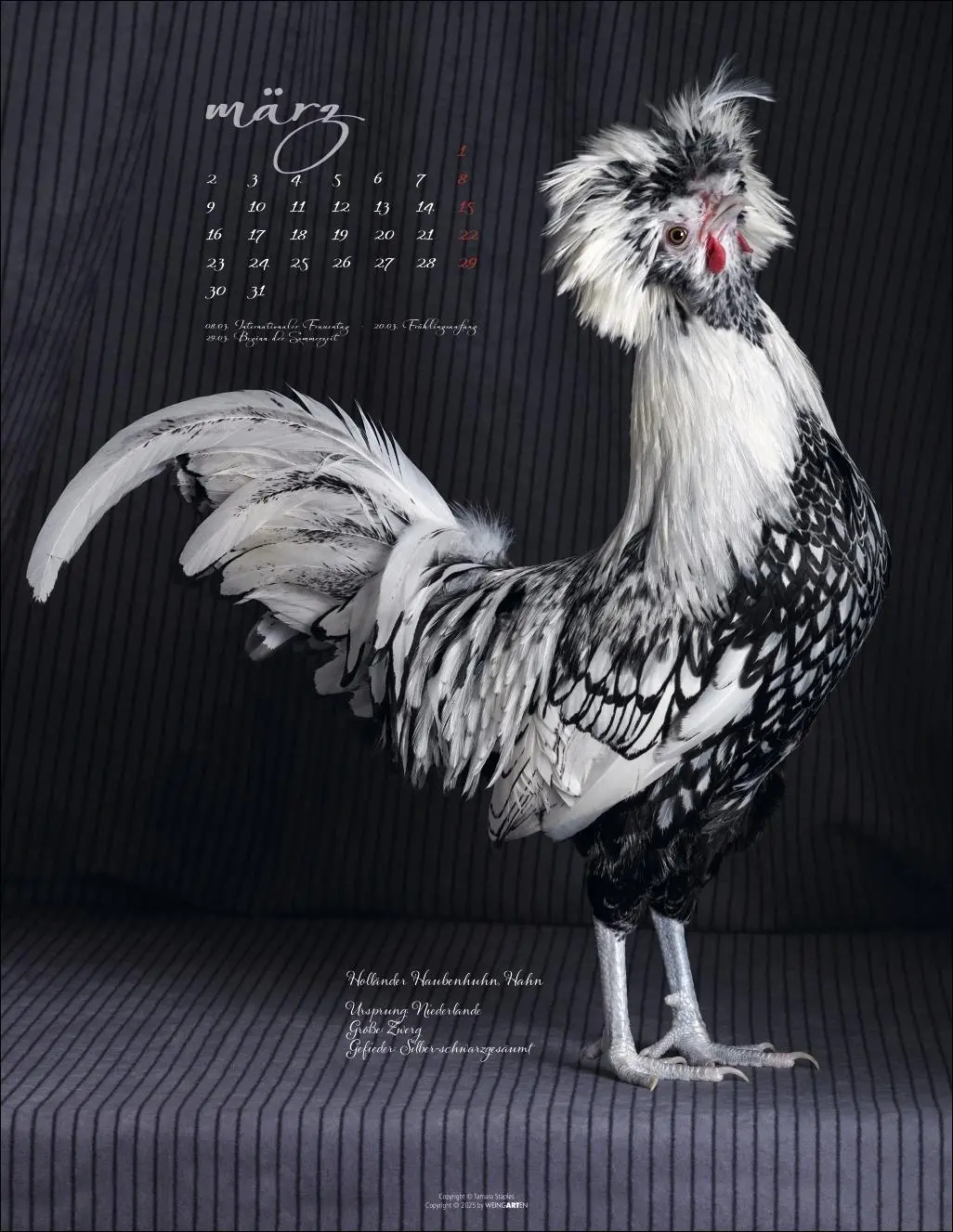 Bild: 9783839902585 | Pretty Chicks Kalender 2026 | Tamara Staples | Kalender | 14 S. | 2026