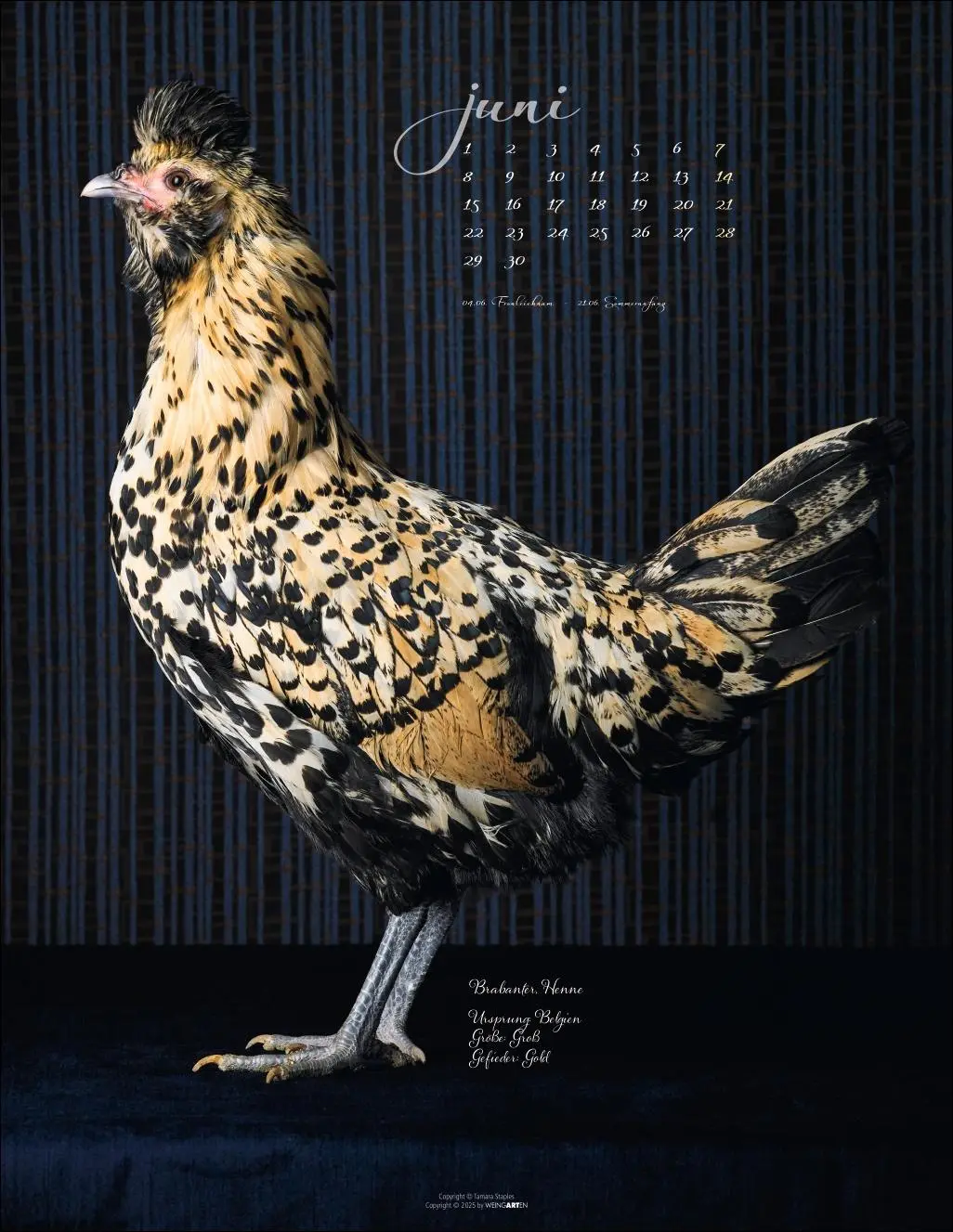 Bild: 9783839902585 | Pretty Chicks Kalender 2026 | Tamara Staples | Kalender | 14 S. | 2026