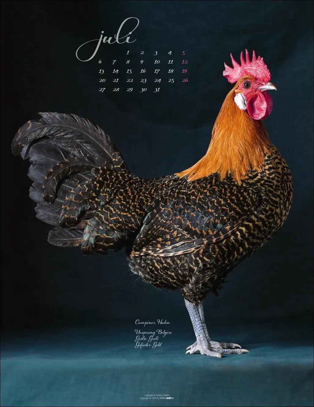 Bild: 9783839902585 | Pretty Chicks Kalender 2026 | Tamara Staples | Kalender | 14 S. | 2026
