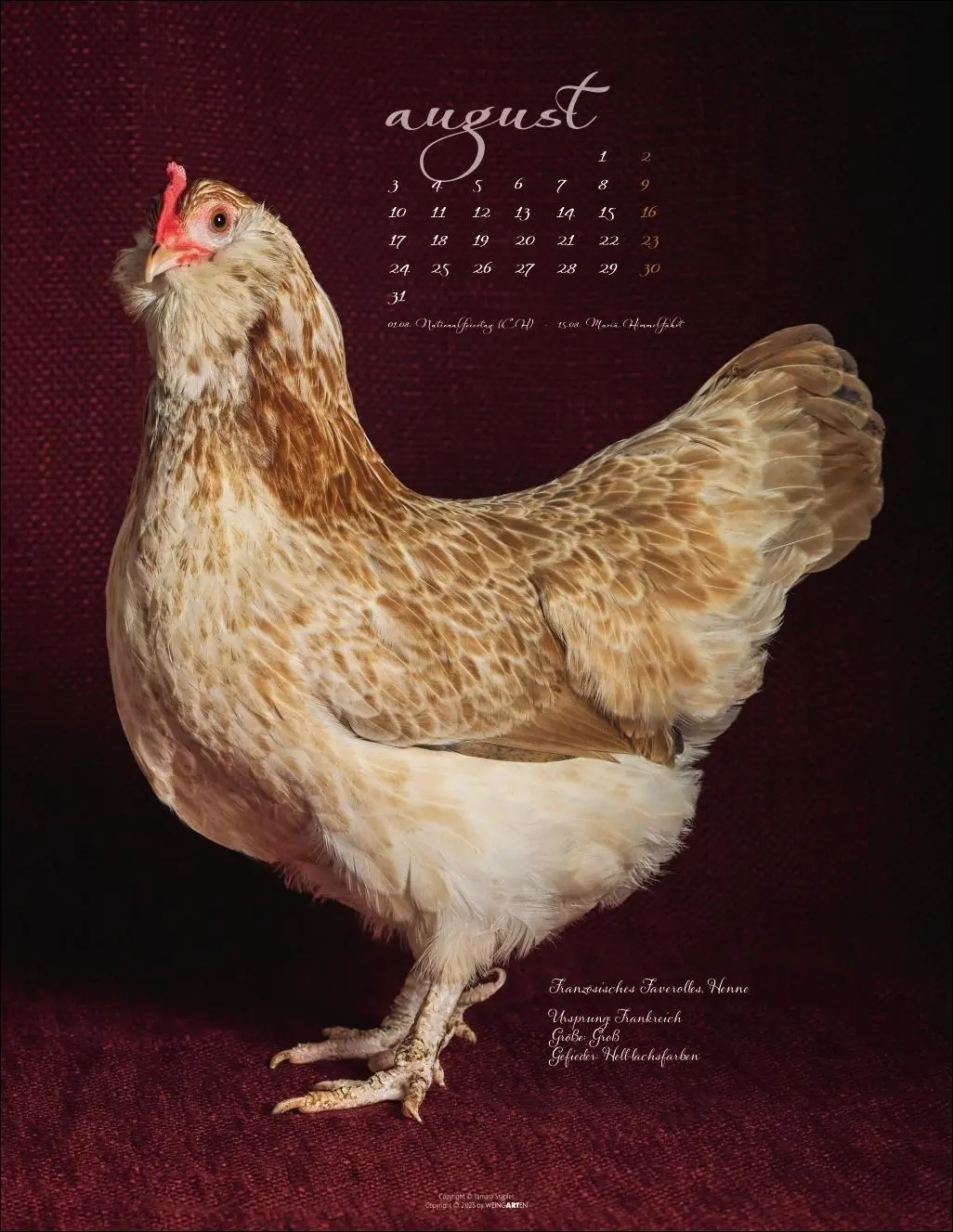 Bild: 9783839902585 | Pretty Chicks Kalender 2026 | Tamara Staples | Kalender | 14 S. | 2026