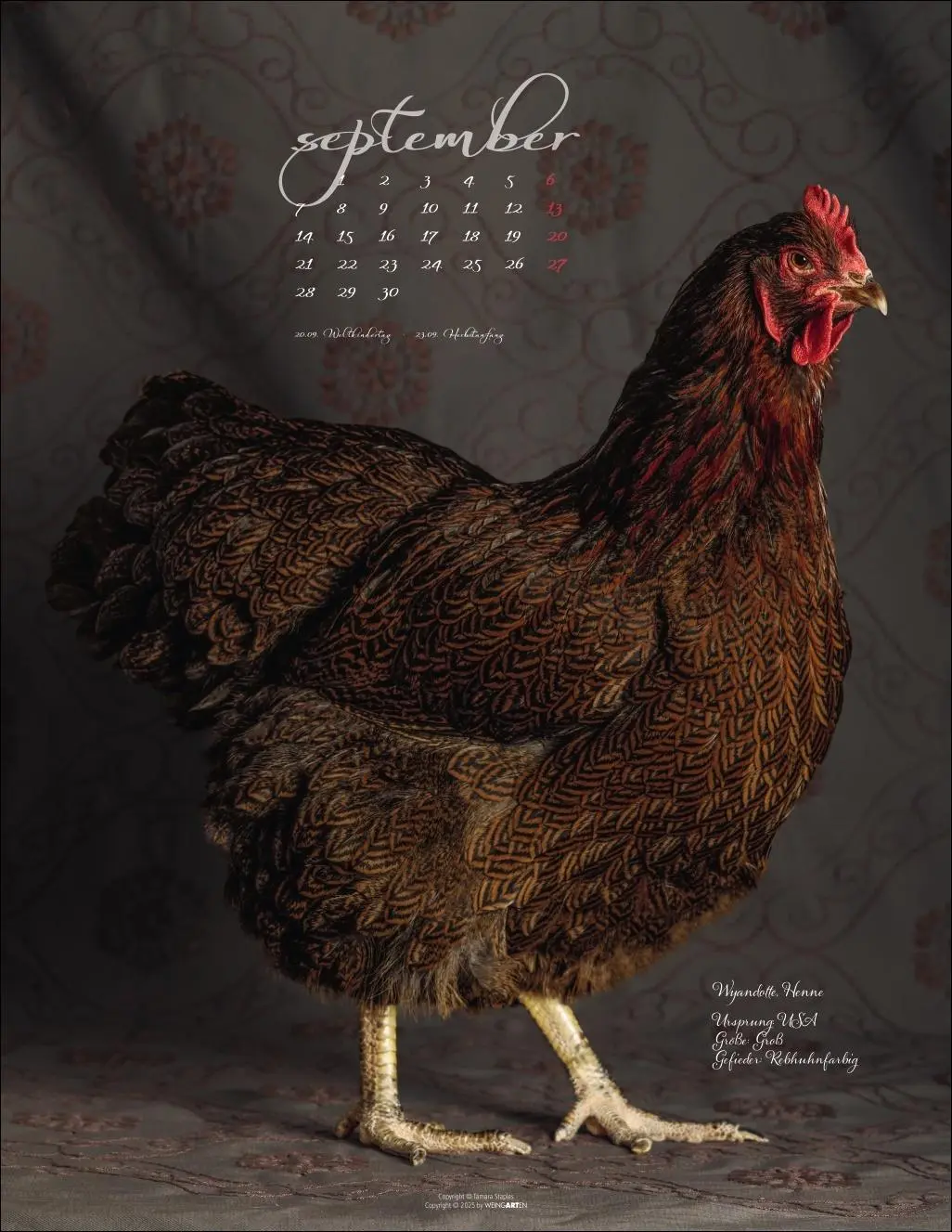 Bild: 9783839902585 | Pretty Chicks Kalender 2026 | Tamara Staples | Kalender | 14 S. | 2026