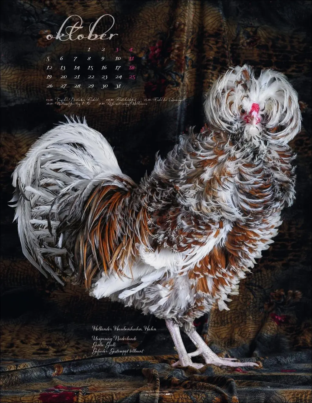 Bild: 9783839902585 | Pretty Chicks Kalender 2026 | Tamara Staples | Kalender | 14 S. | 2026