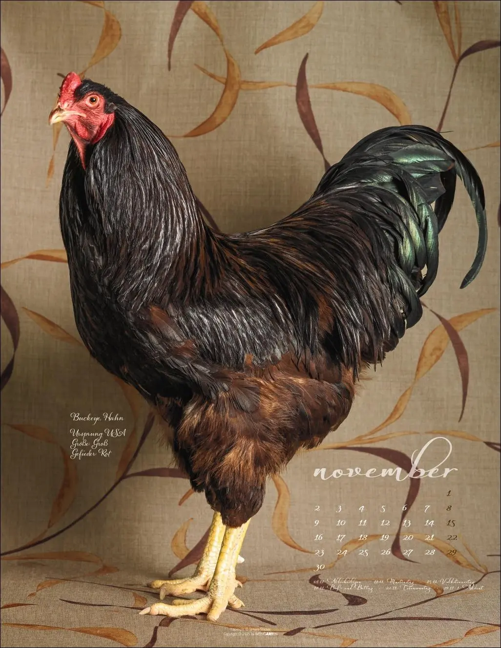 Bild: 9783839902585 | Pretty Chicks Kalender 2026 | Tamara Staples | Kalender | 14 S. | 2026