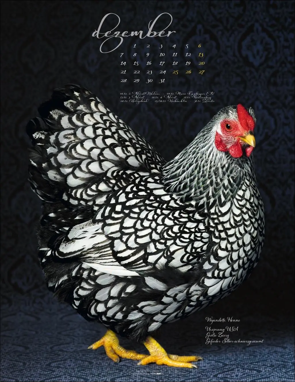 Bild: 9783839902585 | Pretty Chicks Kalender 2026 | Tamara Staples | Kalender | 14 S. | 2026