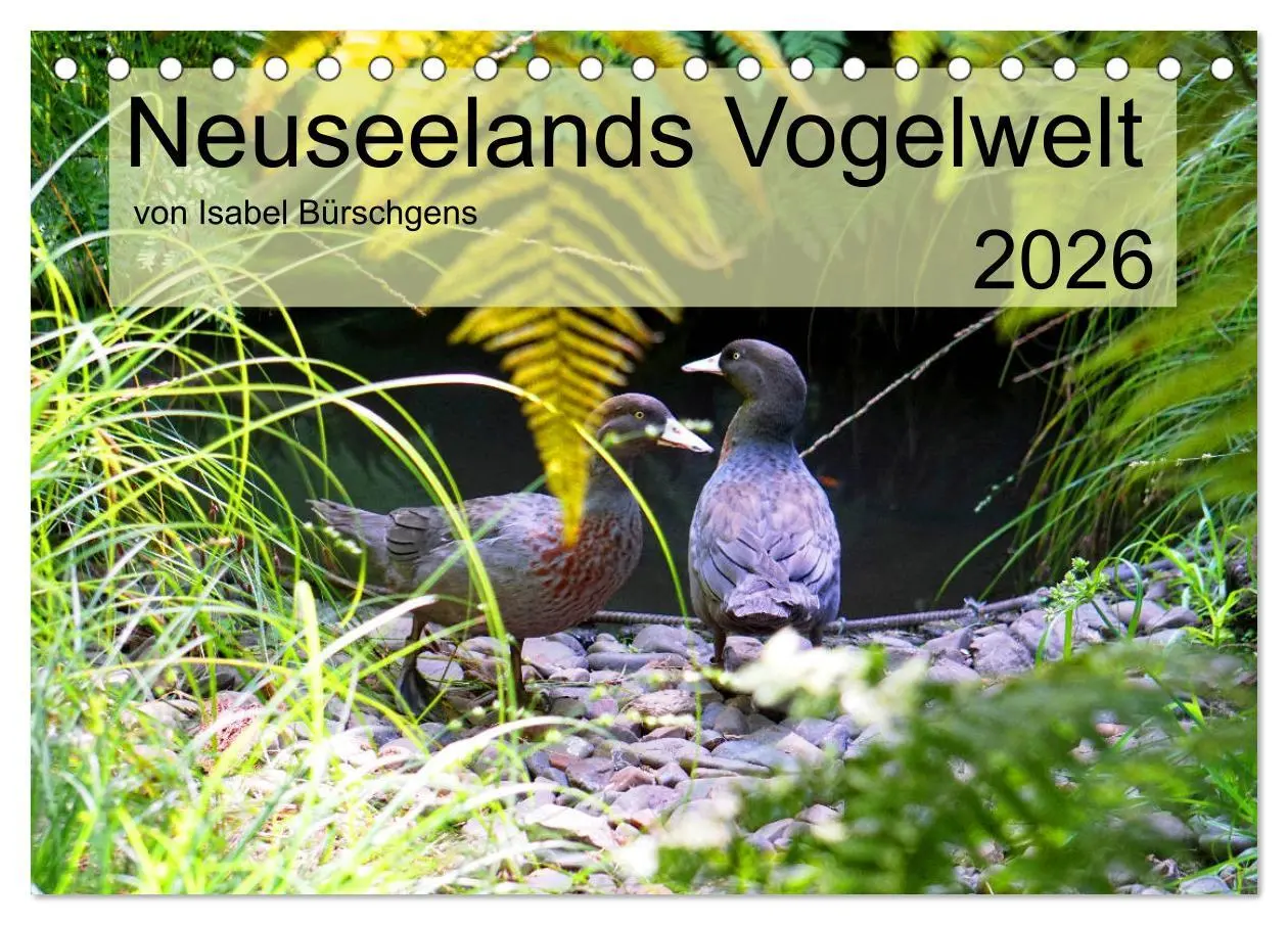 Cover: 9783457682685 | Neuseelands Vogelwelt (Tischkalender 2026 DIN A5 quer), CALVENDO...