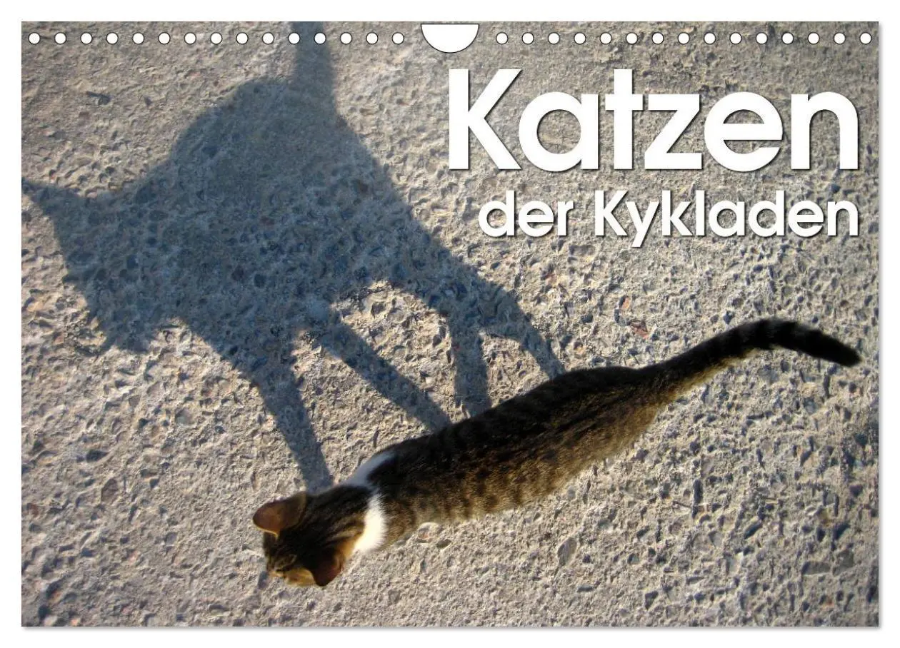 Cover: 9783516152685 | Katzen der Kykladen (Wandkalender 2026 DIN A4 quer), CALVENDO...