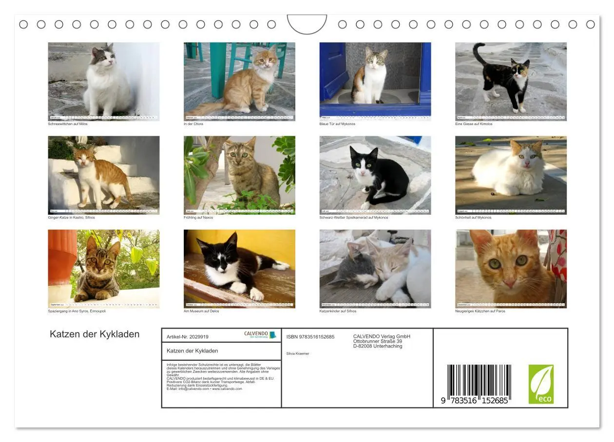 Bild: 9783516152685 | Katzen der Kykladen (Wandkalender 2026 DIN A4 quer), CALVENDO...